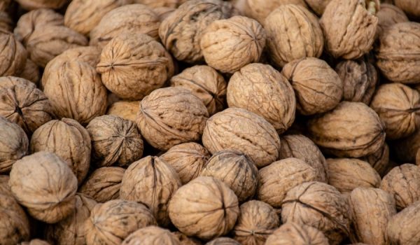 De las en torno a 45 hectáreas de extensión de la finca, unas 32 son productivas.