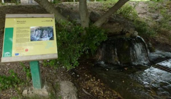 Manantial de Los Cañitos, que abastece de agua al municipio de El Bosque