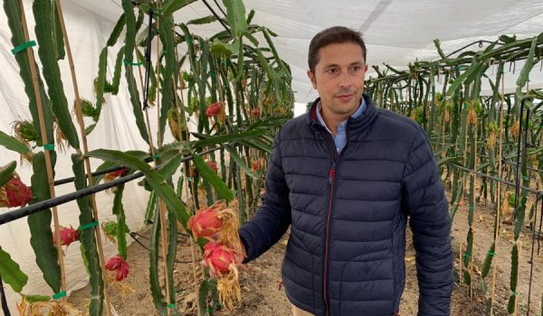 la precaria situación del cereal llevó a Pedro Dúctor a buscar cultivos innovadores cuya demanda fuera superior a su oferta.