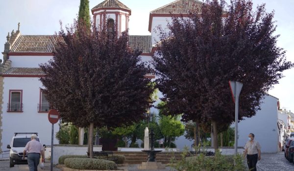 La tasa de incidencia se sitúa en 200 contagios por cada 100.000 habitantes.