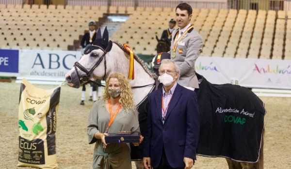 Gil cuenta con un amplio palmarés después de 12 años compitiendo en Doma Clásica.