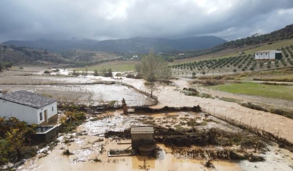 La precipitación acumulada de las últimas 24 horas en Ronda es de 83,9 litros por metro cuadrado.
