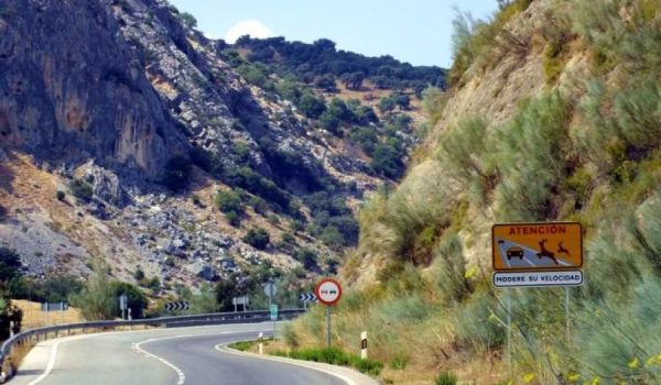 Silvema explica en su escrito que, por norma general, los desplazamientos para cacerías se realizan en vehículos ocupados por más de dos personas.