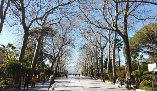 En las dos últimas semanas 166 vecinos de Ronda han dado positivo en COVID-19.