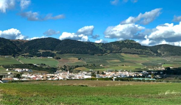 Las autoridades sanitarias han confirmado, según afirma Anet, que Arriate deberá cerrar sus fronteras en las próximas horas ante el aumento de contagios.