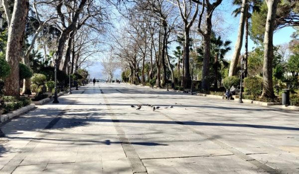 La incidencia acumulada en los últimos 14 días ha experimentado un leve descenso con respecto a las cifras de ayer.