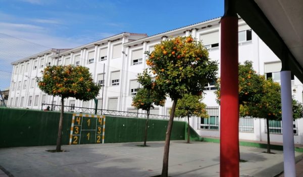 Los representantes de las AMPAS y el delegado de Educación mantuvieron un encuentro virtual para llegar a un acuerdo.