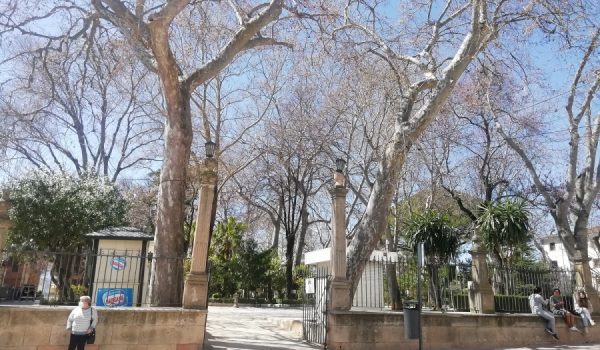 En la última semana siete rondeños han dado positivo en coronavirus, según datos de la Consejería de Salud de la Junta de Andalucía.