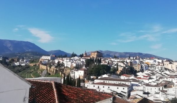 Un total de 11 vecinos de Ronda han dado positivo en coronavirus en la última semana.