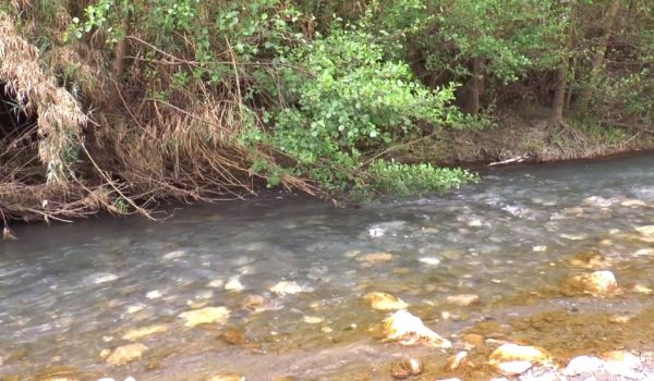 En cada cuenca se harán unos muestreos de biodiversidad fluvial sobre sus microrganismos,  macroinvertebrados y peces.