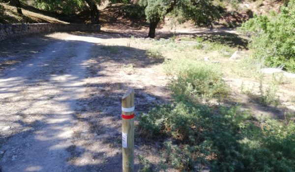 Tras esta actuación podrán disfrutarse nuevamente de parajes como el Tajo del Abanico, el Coto, Encinas Borrachas y el Camino de la Amargura.