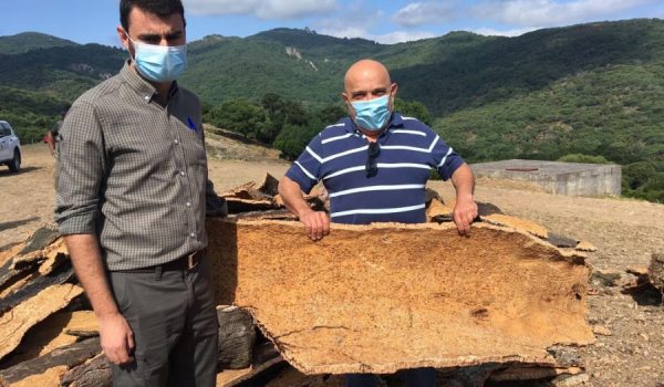 Vázquez ha puesto de relieve la labor de los técnicos de la delegación de Montes en el cuidado de un paraje de enorme riqueza medioambiental.