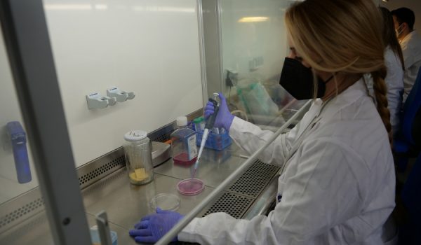 García Caballero tuvo la oportunidad de investigar el vínculo entre el COVID-19 y los vasos sanguíneos durante su estancia en Bélgica.
