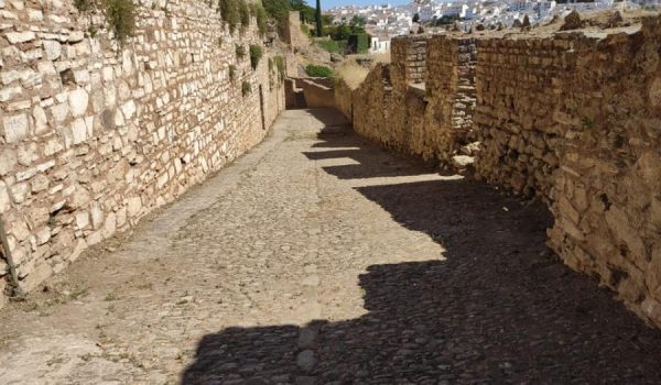 Además de la ubicación de nuevo pavimento, las obras implicarán la sustitución de elementos de iluminación ya deteriorados y la instalación de nuevos en aquellas zonas sin luz.