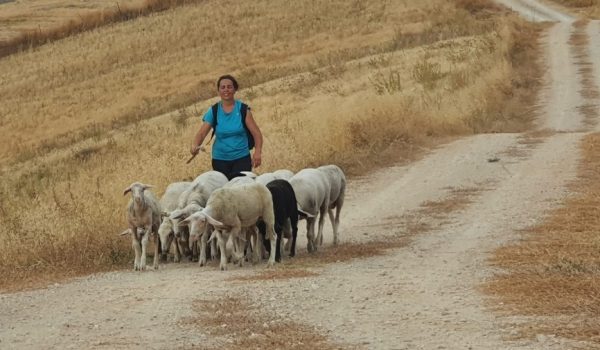 La Fanega ayuda a personas con discapacidad a integrarse en el mundo rural.