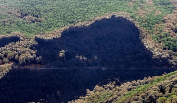 Una parte de la zona quemada por el incendio forestal