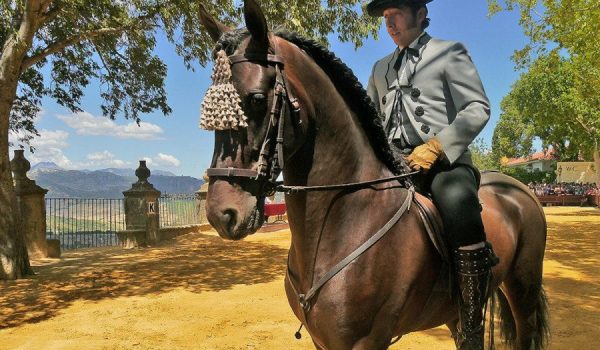 León en la Alameda del Tajo durante el evento de Ronda Romántica