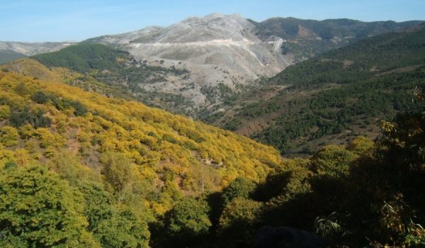 Los Planes de Dinamización Turística son plurianuales y se cofinancian a partes iguales por el Estado, la Junta de Andalucía y la Diputación de Málaga.