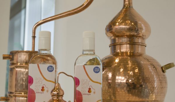 El licor se elabora con un alambique