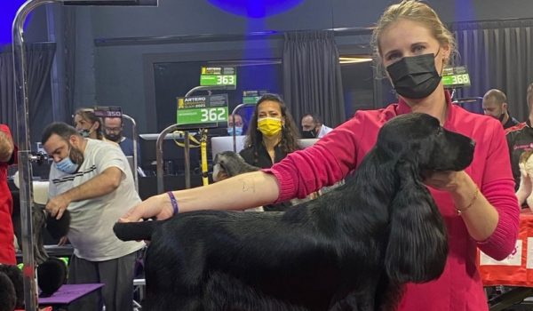 Fris compró a Nero de forma expresa para competir en encuentros como el Grooming Slam.