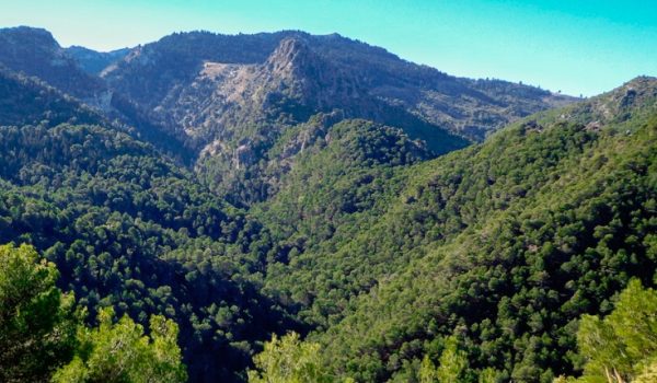 El Parque Nacional Sierra de las Nieves lo integran los municipios malagueños de Tolox, El Burgo, Yunquera, Monda, Istán, Benahavís, Parauta y Ronda, junto a otras seis poblaciones que están incluidas en su zona periférica