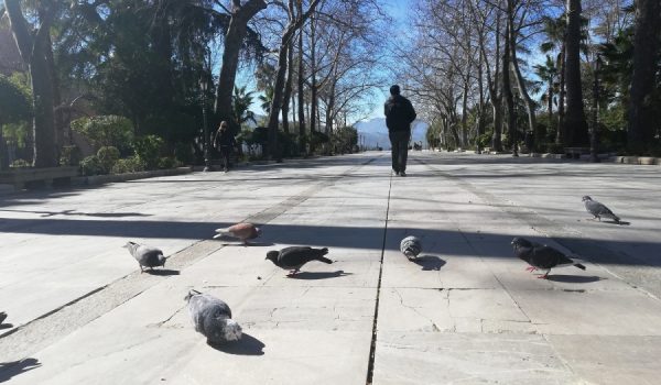 Las actuaciones se realizarán por fases para que vecinos y turistas puedan seguir visitando este espacio