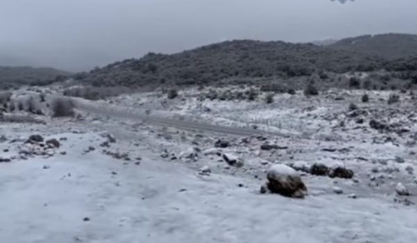 La nieve ha vuelto a cuajar este lunes en la carretera hacia San Pedro de Alcántara