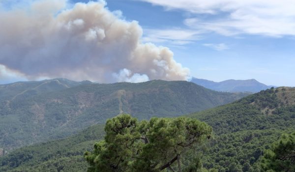 El paraje afectado, La Resinera, es una zona inaccesible por tierra, según ha trascendido desde INFOCA.