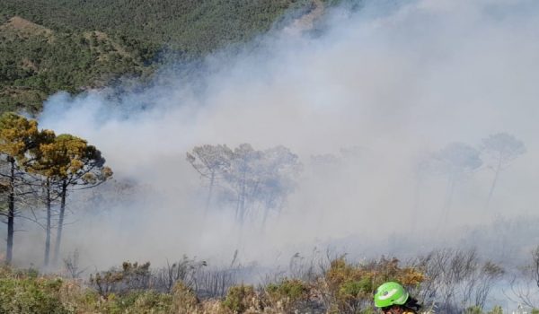La inversión térmica ha dificultado el acceso a algunas zonas de los medios aéreos esta mañana.