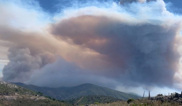 En estos momentos 23 medios aéreos llevan a cabo labores de extinción en la zona y ocho autobombas, con cientos de efectivos en tierra.
