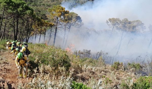 El incendio tiene estatus de estabilizado desde el pasado viernes.