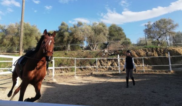 La antigua finca de El Noque se ha convertido en el Centro Hípico de Avilés