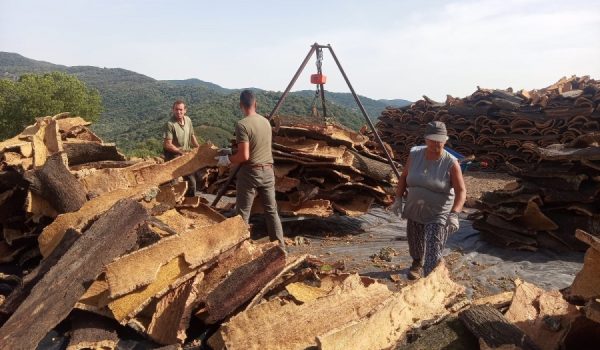 El consistorio rondeño dispone de 4.000 hectáreas de terreno, situados en el término municipal de Cortes de la Frontera.