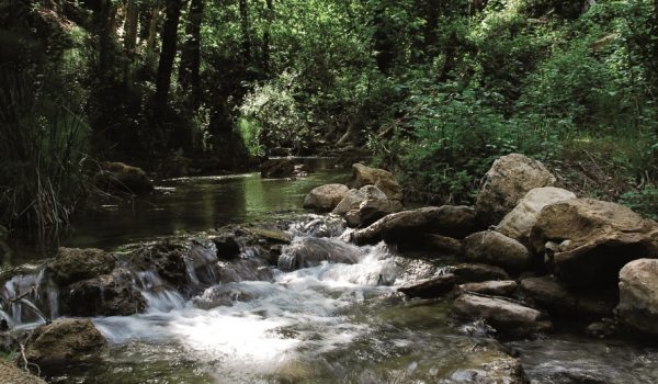 Se trata de uno de los senderos fluviales de mayor valor ambiental de la provincia.