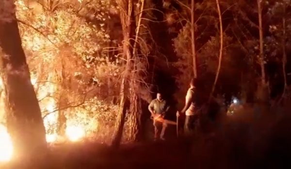 El fuego se produjo en un paraje cercano al río Genal, a alrededor de 3 kilómetros del casco urbano, a medianoche.