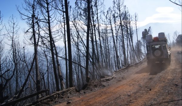 Se han calcinado unas 750 hectáreas de castaños, pinos y matorral.