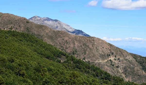 Colectivos y asociaciones critican el estado de abandono en el que se encuentran los montes y alertan de las posibles consecuencias que puede tener a corto plazo