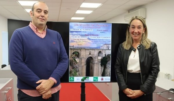 Habrá conciertos, flashmobs de las distintas academias de la ciudad y un espectáculo en el teatro Vicente Espinel
