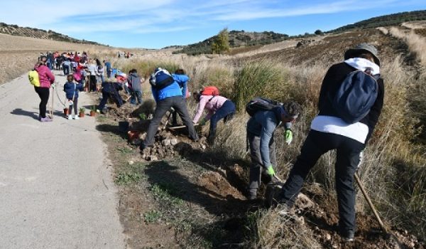 Cañete la Real ha acogido una arbolada impulsada por el programa Málaga Viva
