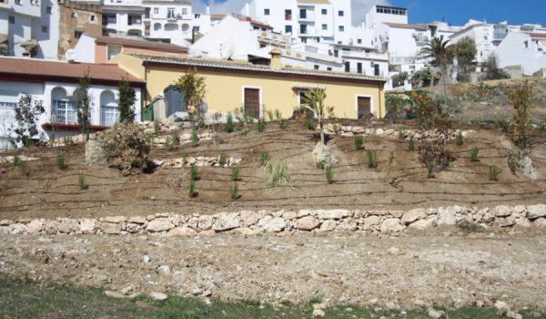 La zona verde ha sido dotada de plantas propias del clima mediterráneo.