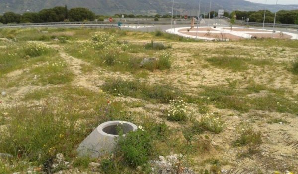 Vista de los terrenos en la actualidad, junto a la rotonda de acceso a Ronda en esta barriada.