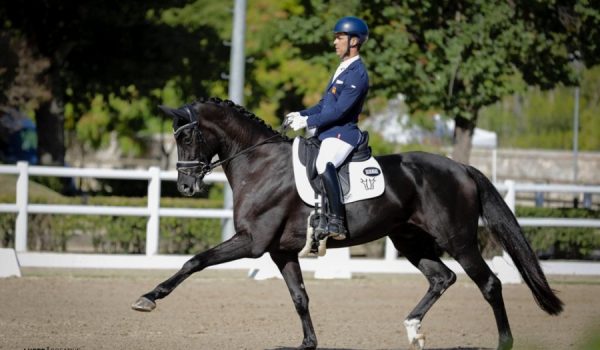 Este jinete entrenador y el caballo que han sido seleccionados para esta importante competición.