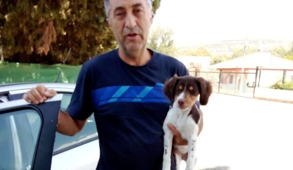 Conde, con la perrita Bretona Luna, que fue encontrada en la pedanía de La Indiana