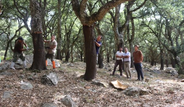 Los delegados de Agricultura y Montes y Medio Ambiente, Juan Carlos González y Jorge Fernández, respectivamente, visitaron la zona.