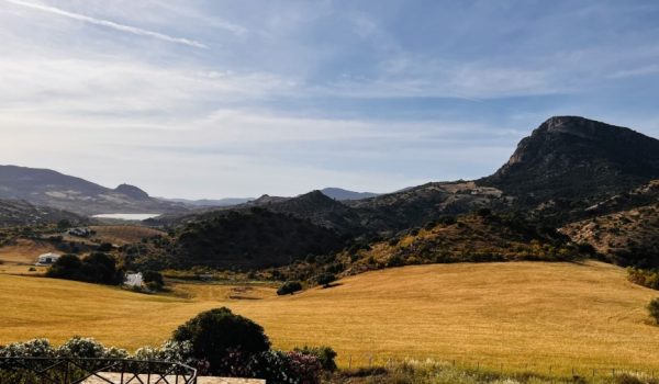 Una imagen de parte de la comarca natural de Ronda, cuyo desarrollo quiere fomentar esta fundación.