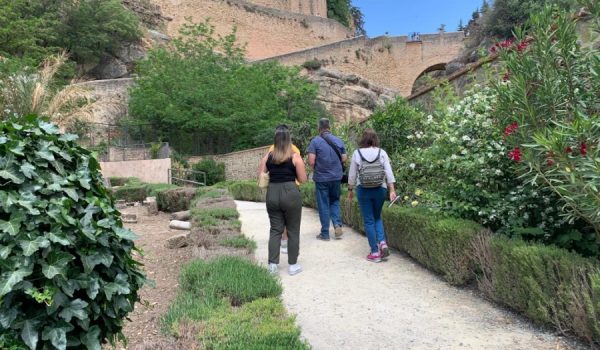Entre las zonas incluidas en el pliego, se encuentran los jardines de los Baños Árabes