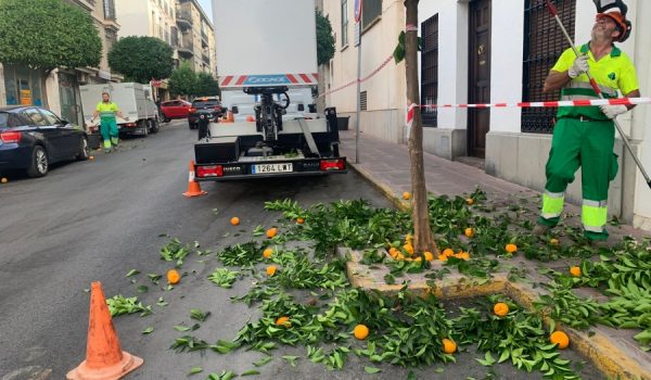 Un trabajador en plena faena en los días previos a la Feria.