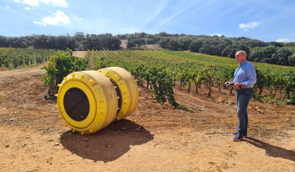 Esta tecnología permite detectar cuánta agua usar, dónde y cuándo, dentro del viñedo.