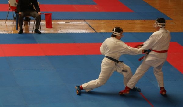 Un total de siete karatekas rondeños representaron a la selección provincial.
