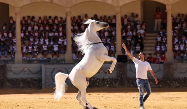 El reconocido domador con uno de sus caballos en el coso rondeño.